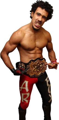 AR Fox