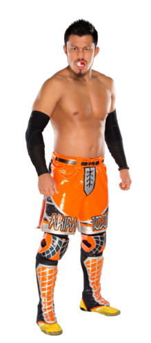 Akira Tozawa