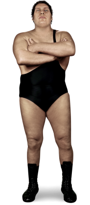 Andre The Giant