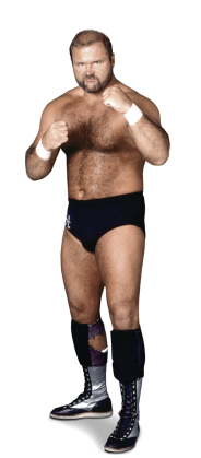 Arn Anderson