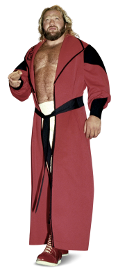 Big John Studd