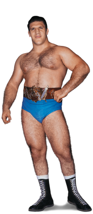 Bruno Sammartino