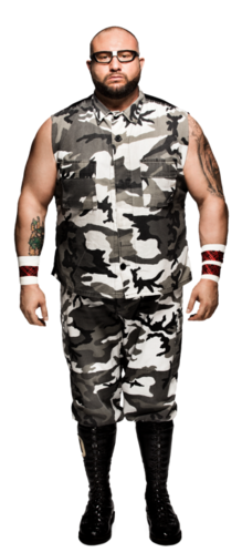 Bully Ray