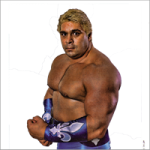 Dino Bravo