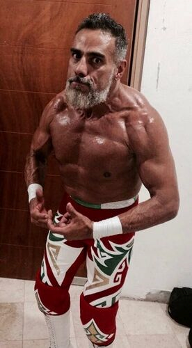 Dr. Wagner Jr.