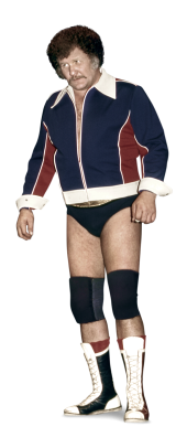 Harley Race