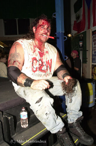 Zandig