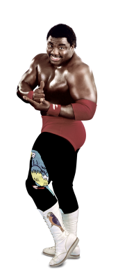 Koko B. Ware