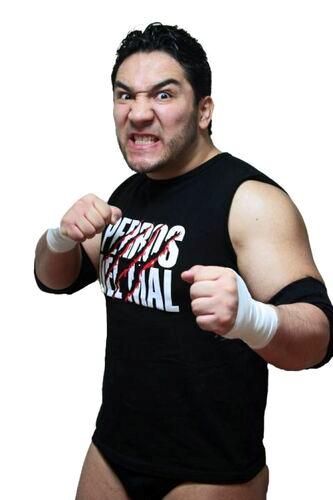 Perro Aguayo Jr.