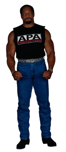 Ron Simmons