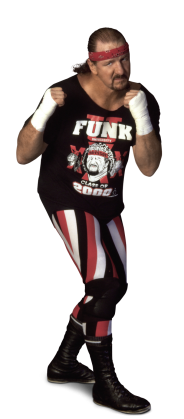 Terry Funk